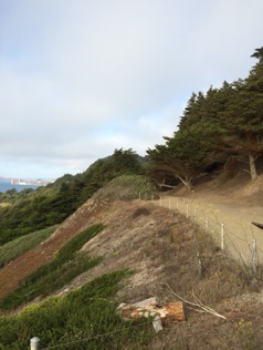 A dirt road going up the side of a hill.