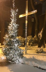 A christmas tree and some lights in the snow.